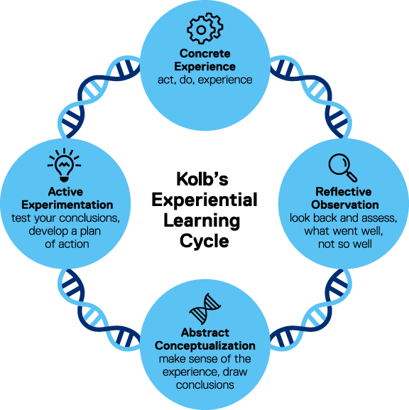 Kolb's Experiential Learning Cycle